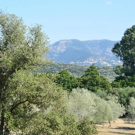 Room In Bb - Rents Cottages In Balagne Ville-di-Paraso